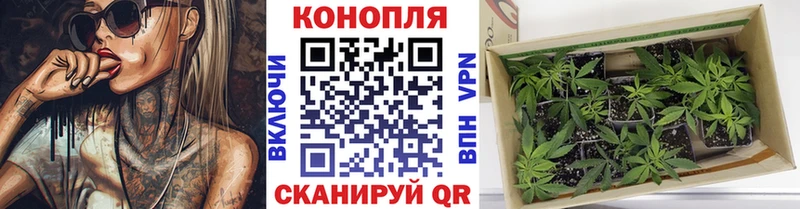 Наркота Покачи ГАШИШ  Канабис  Меф мяу мяу 