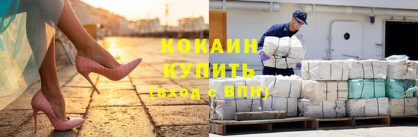 a pvp Новозыбков