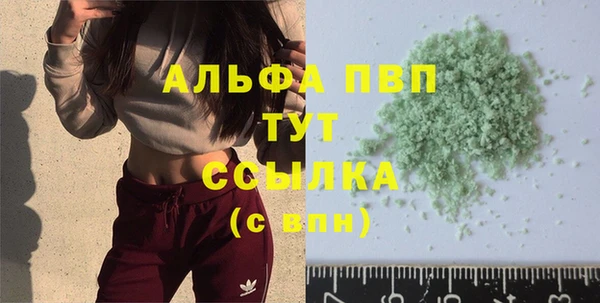 a pvp Новозыбков
